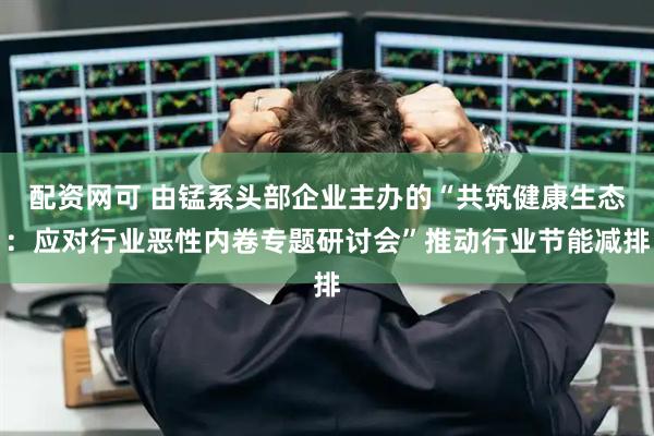 配资网可 由锰系头部企业主办的“共筑健康生态：应对行业恶性内卷专题研讨会”推动行业节能减排