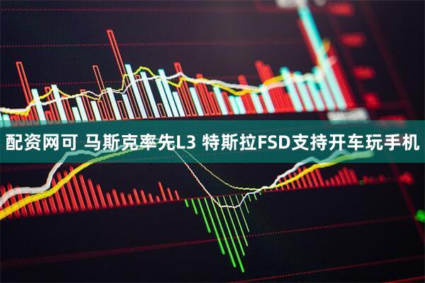 配资网可 马斯克率先L3 特斯拉FSD支持开车玩手机