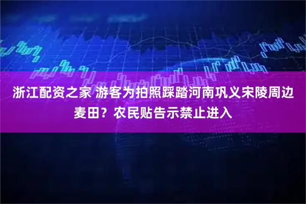 浙江配资之家 游客为拍照踩踏河南巩义宋陵周边麦田？农民贴告示禁止进入